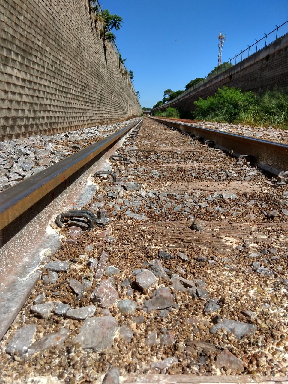 Empresa tem até segunda (1º) para limpar trilhos do Novo Centro