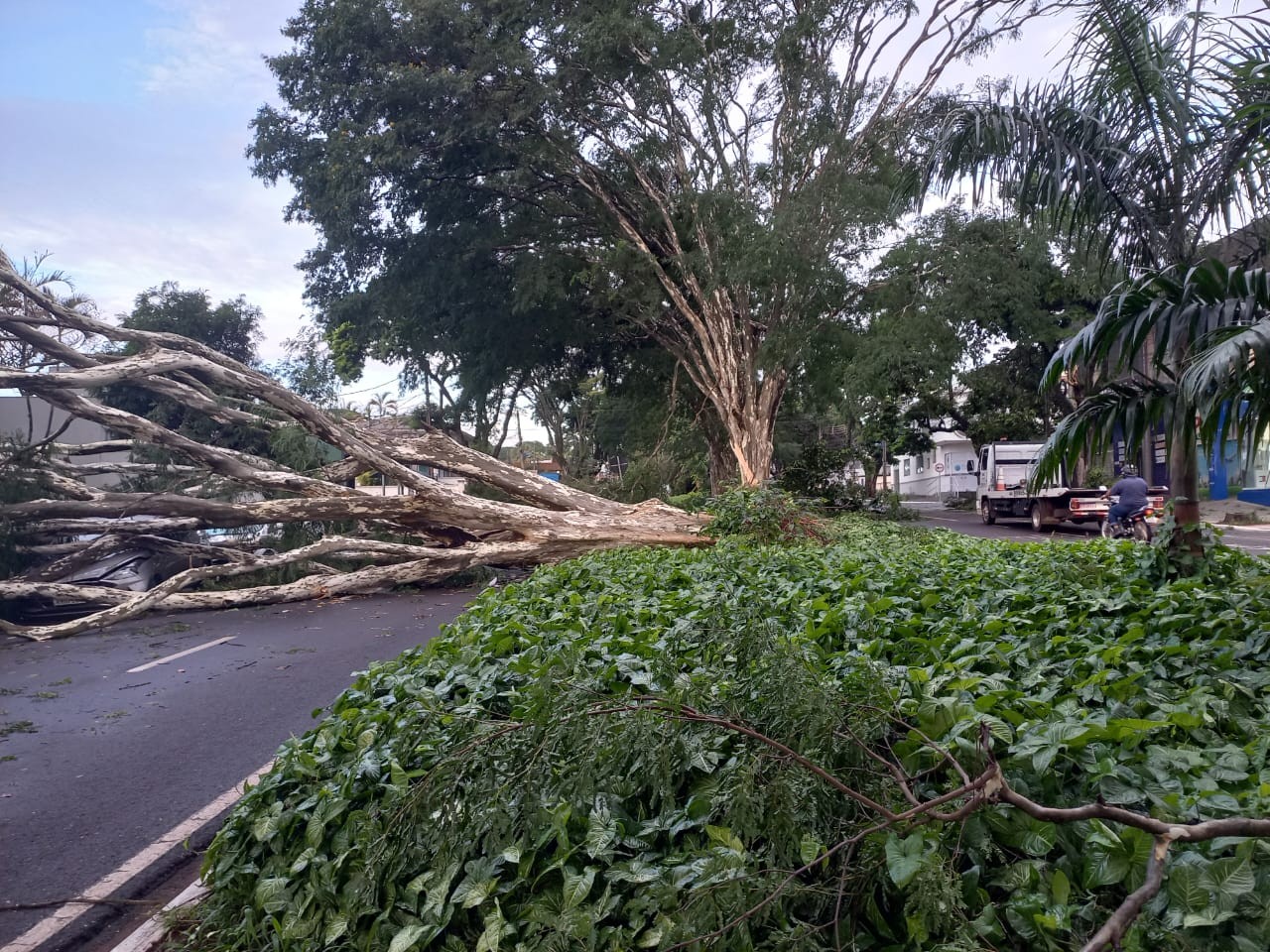 Transtorno na vida dos moradores das regiões mais afetadas em Maringá