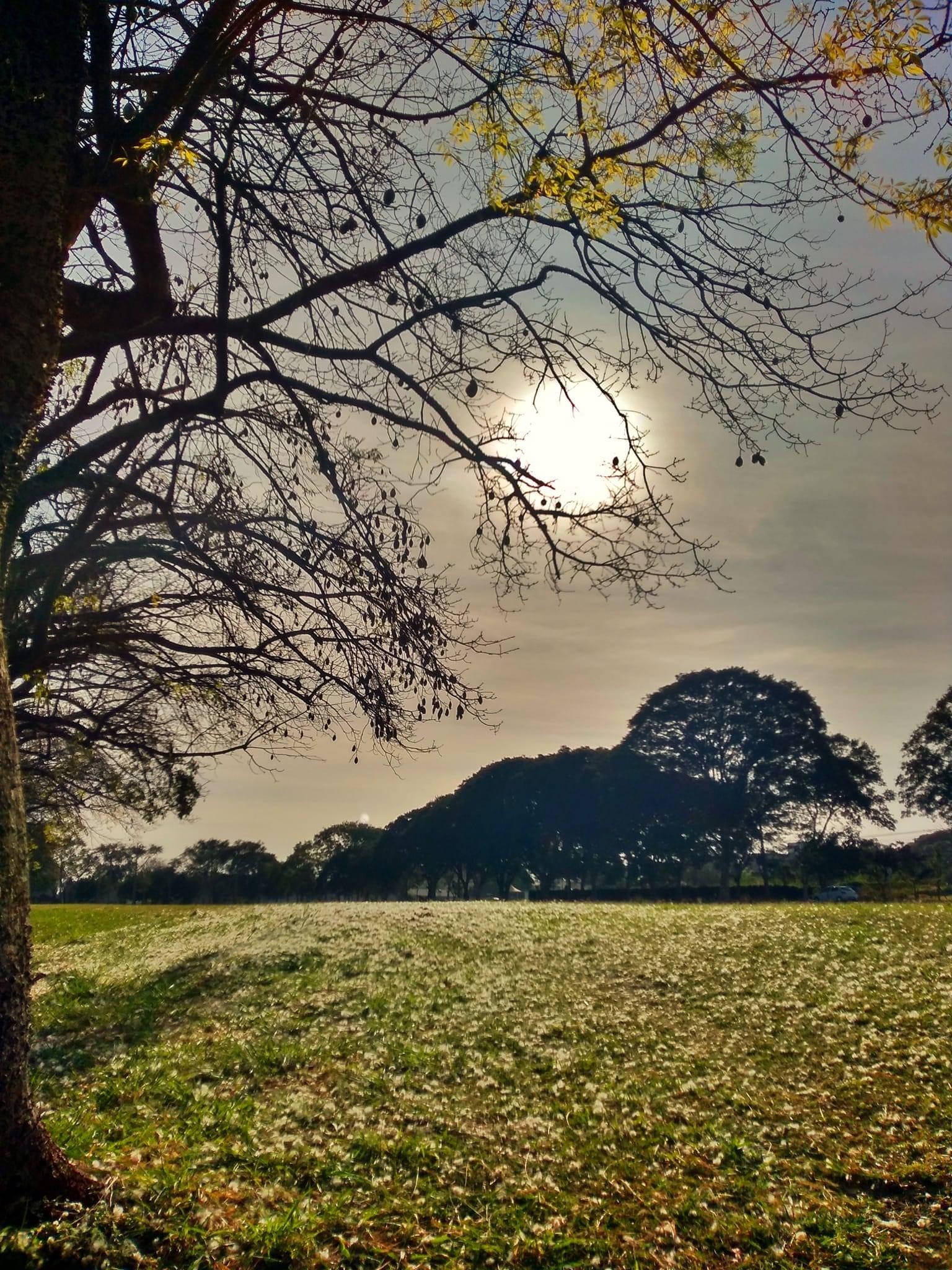Sem chuvas, Maringá tem sábado com amanhecer gelado
