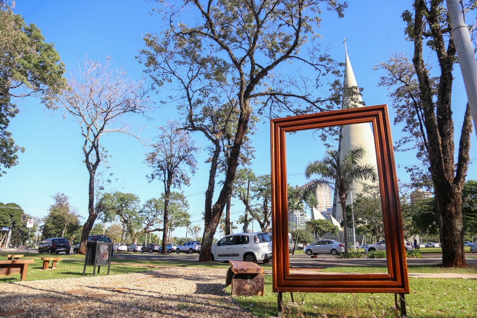 Maringá produz bancos e espaços de lazer com árvores removidas