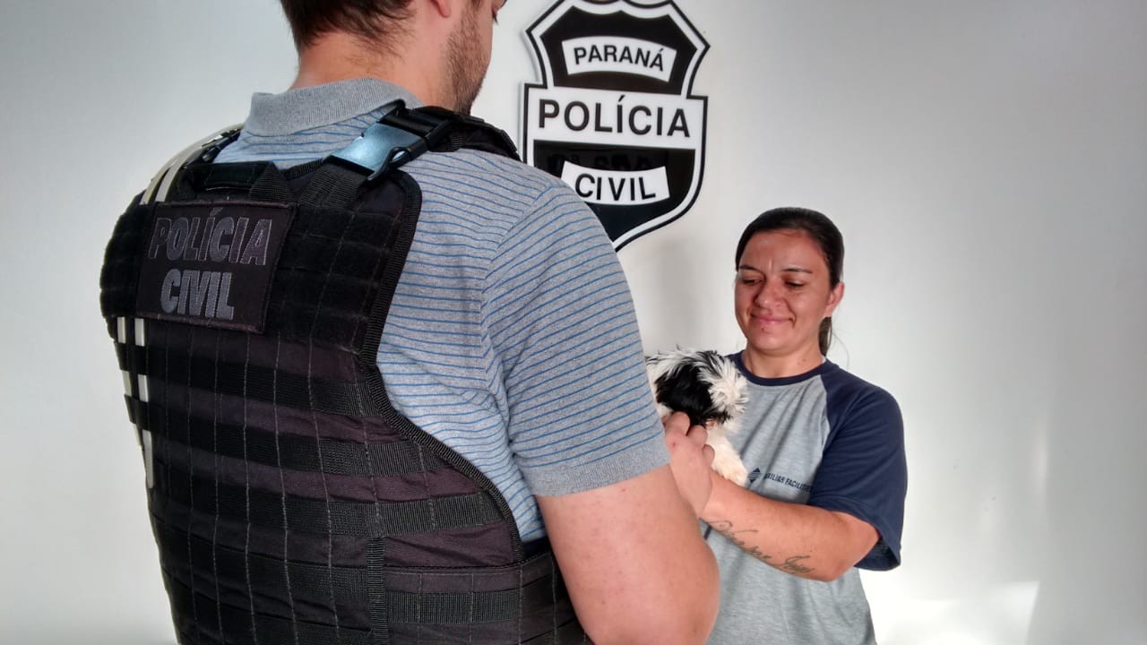 Jovem vai responder por furto de cachorro da raça shih tzu