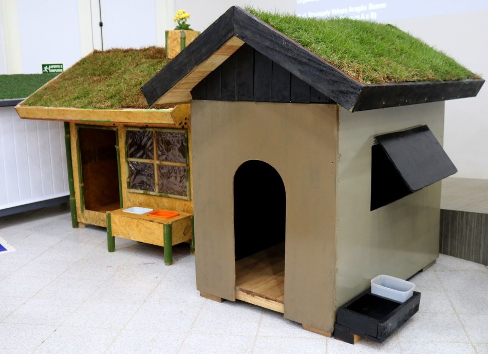 Casas sustentáveis para cachorro