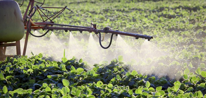 Porcentagem de agricultores que usam agrotóxicos inadequadamente é pequena