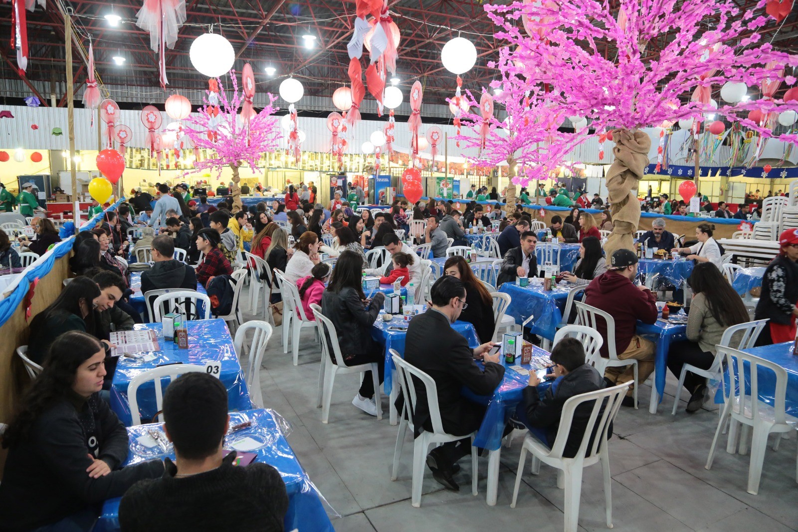 Festival Nipo-Brasileiro começa nesse sábado (5) celebrando tradições
