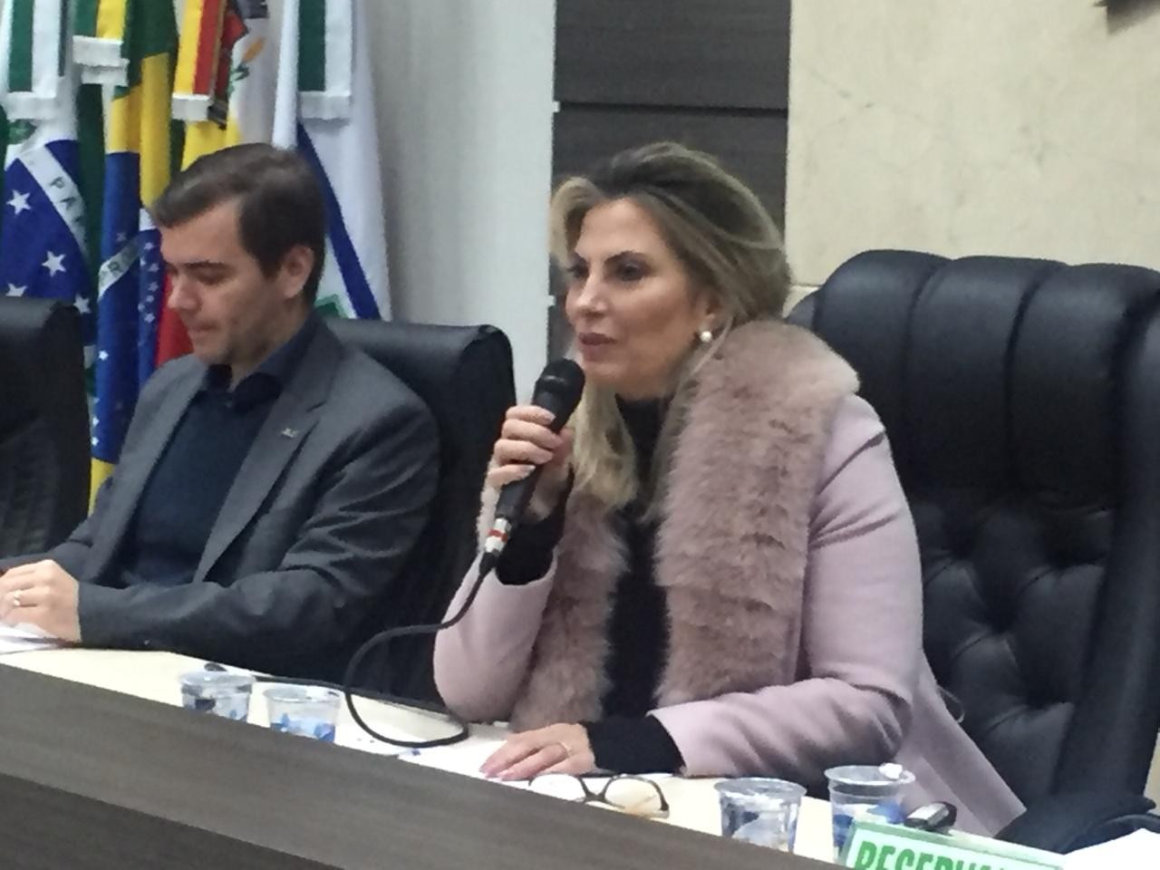 Governadora  diz que solução para saneamento será empresa municipal para compartilhar sistema com Sanepar