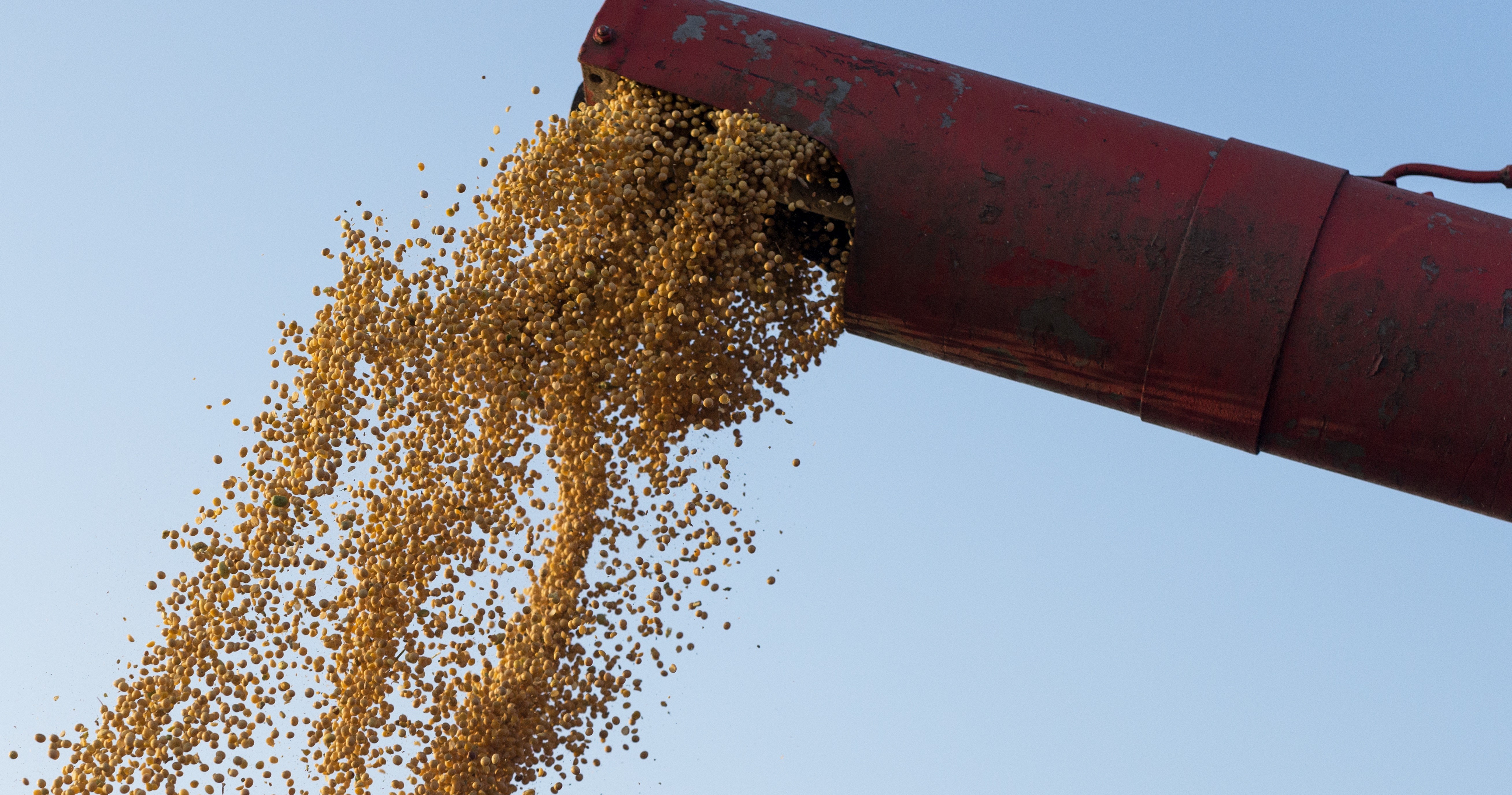 Paraná pode produzir 19 milhões de toneladas nesta safra, aponta Conab