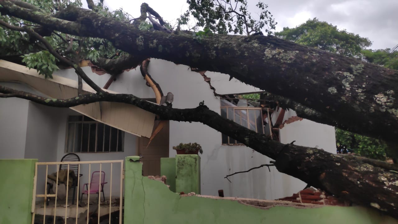 Temporal provoca estragos em Maringá