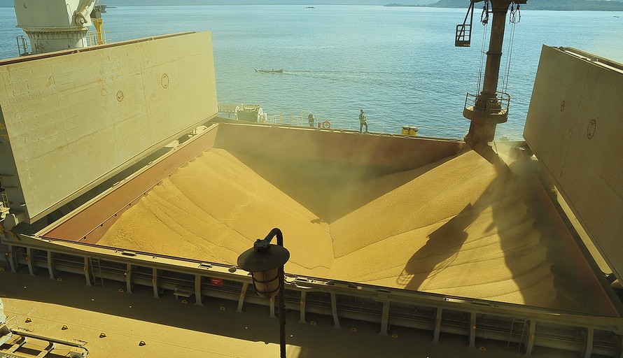 Estimativa é que Brasil produza 120,5 mi de toneladas de soja