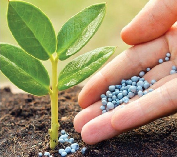 Vendas de insumos agropecuários crescem R$ 6 bilhões no Brasil