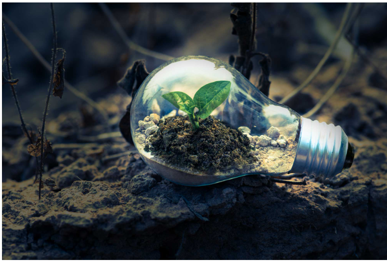 40% do lixo produzido no Brasil é descartado em lixões a céu aberto