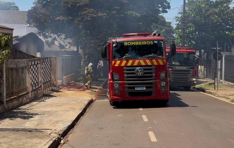 Cães morrem carbonizados em incêndio