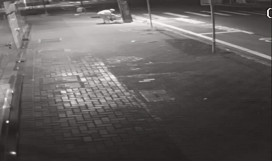 Pet shop divulga vídeo de abandono de dois gatos em Maringá