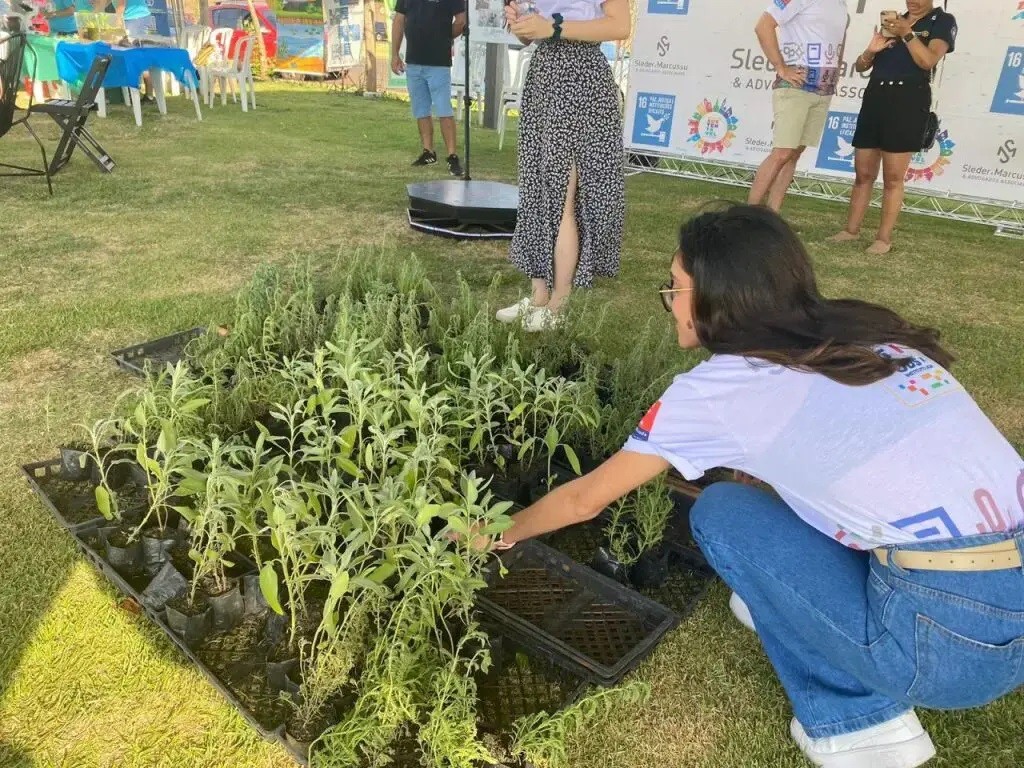 Arena Sustentável começa nessa sexta-feira (7) e vai até domingo (9)