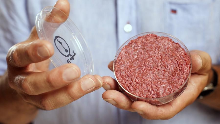 Carne cultivada: uma alternativa para suplementar a alimentação no planeta
