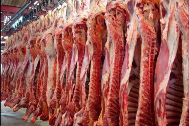 Exportações de carne em abril é 44% superior ao mesmo período de 2018