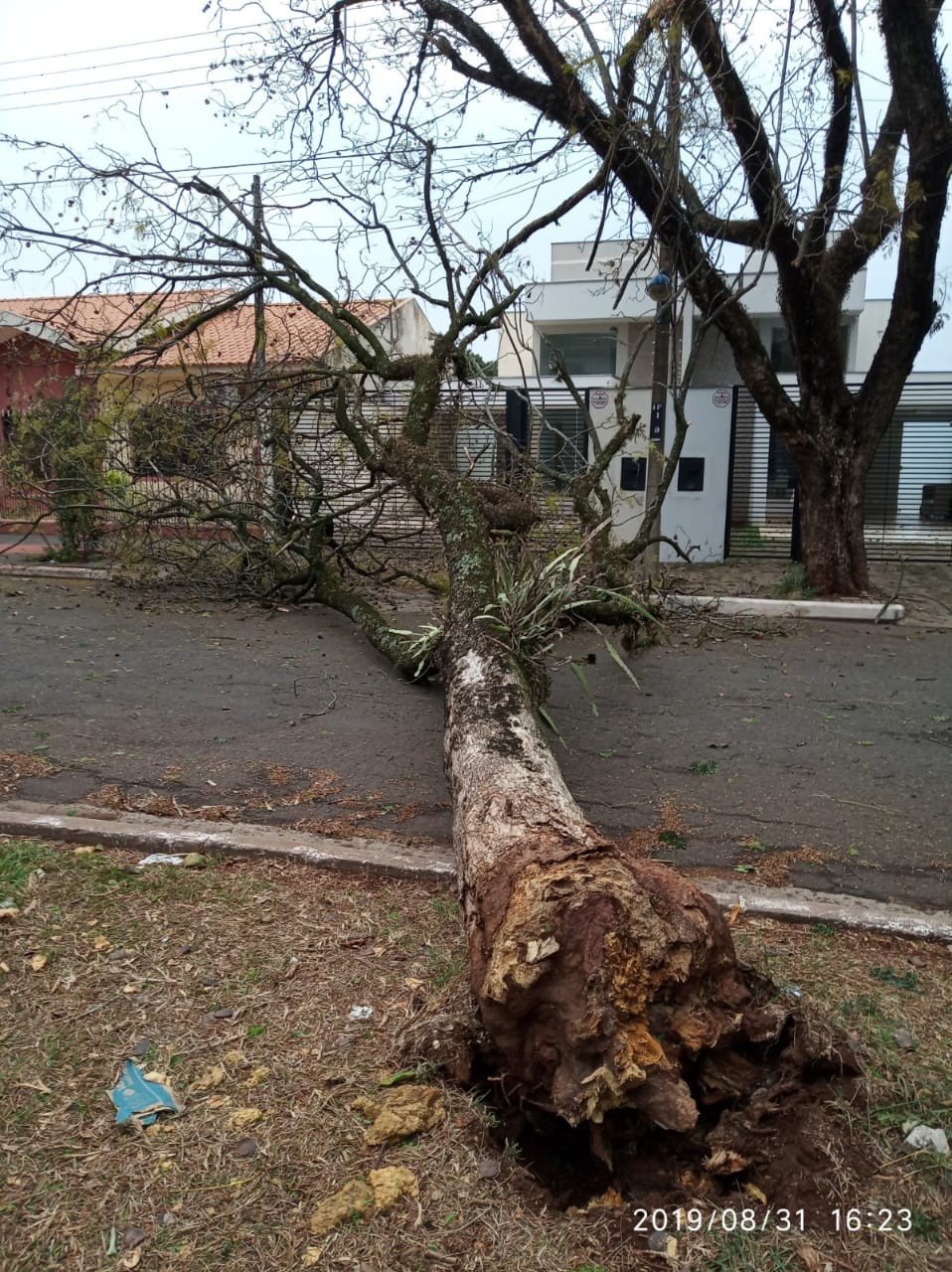 Temporal provoca estragos e deixa quase seis mil imóveis sem luz