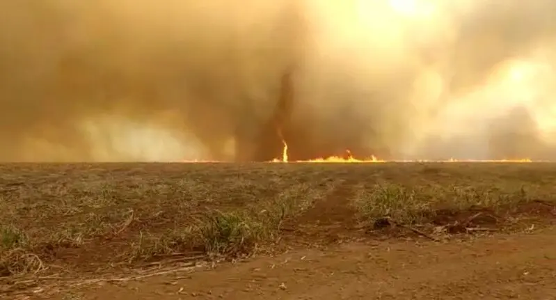 Incêndio fora de controle está destruindo plantações na região de Maringá