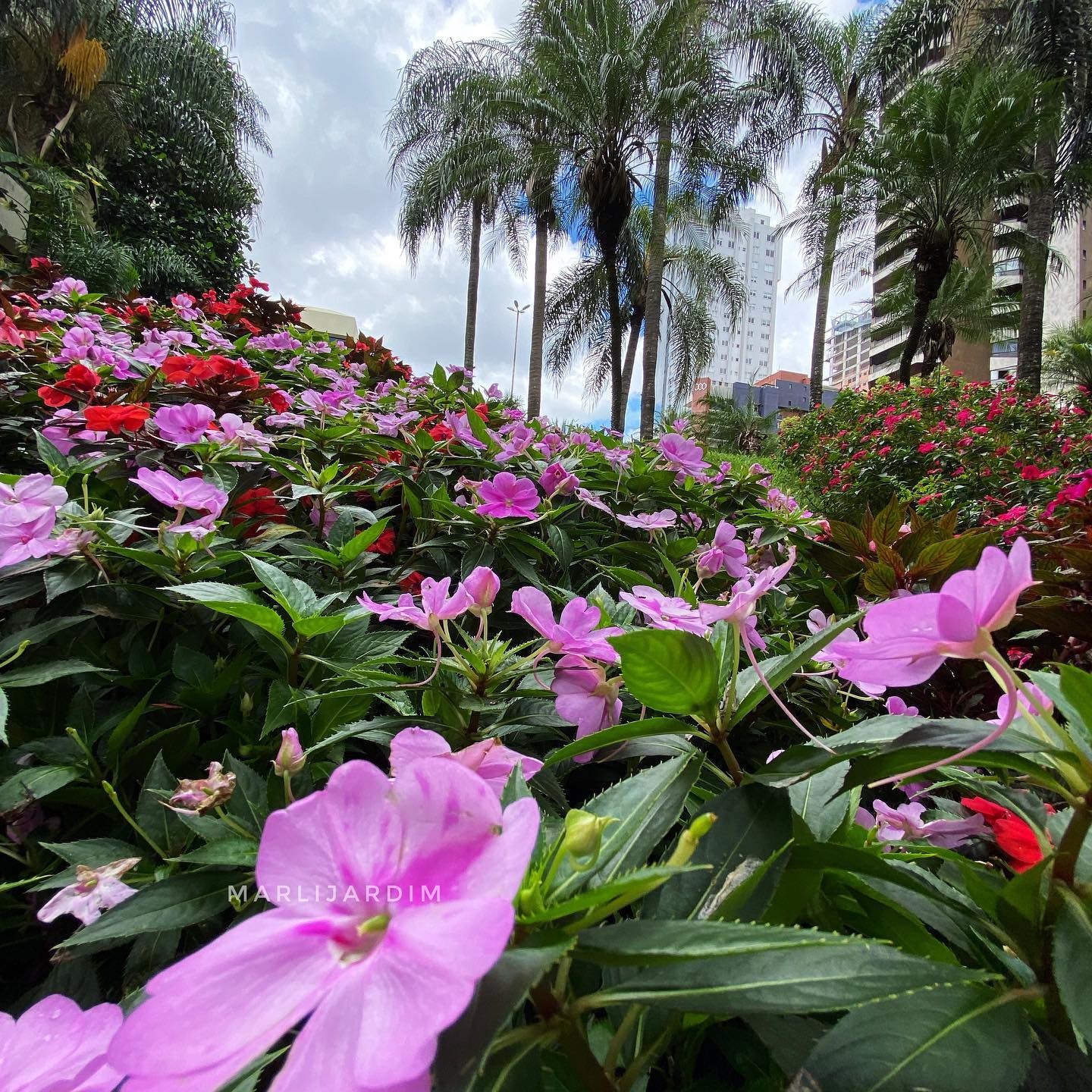 Terça-feira (11) de tempo estável e temperaturas elevadas em Maringá