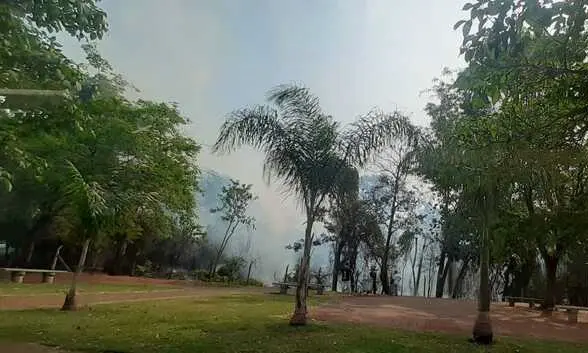 Incêndio atinge reserva florestal do Parque das Palmeiras em Maringá