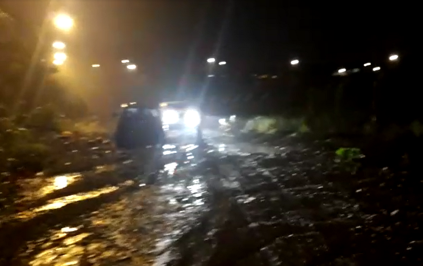 Temporal derruba árvores e muro em Maringá