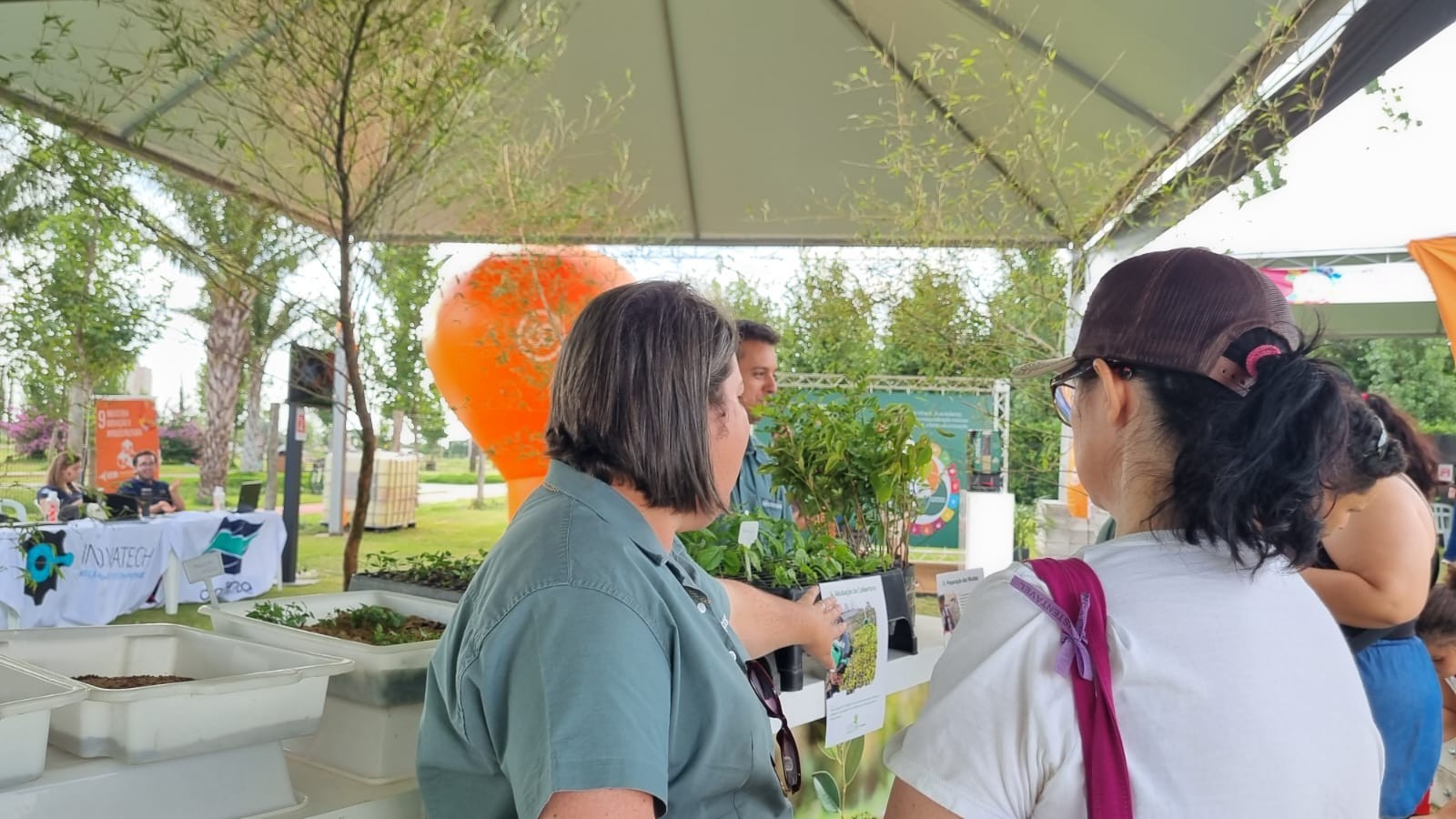 Quase 50 árvores serão plantadas para compensar carbono gerado