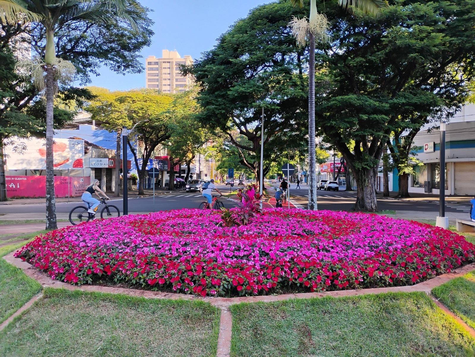 Maringá terá terça-feira (8) ensolarada; tempo segue firme ao longo da semana