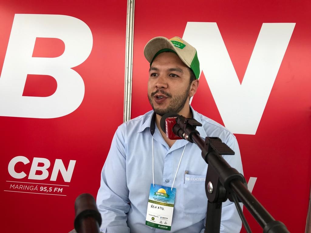 Milho segunda safra deve compensar perdas do verão