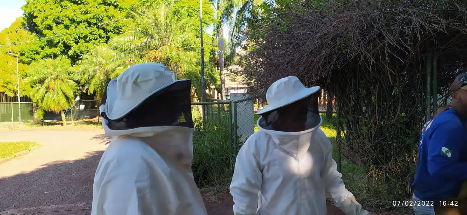 Homem é atacado por abelhas e tem reação alérgica generalizada