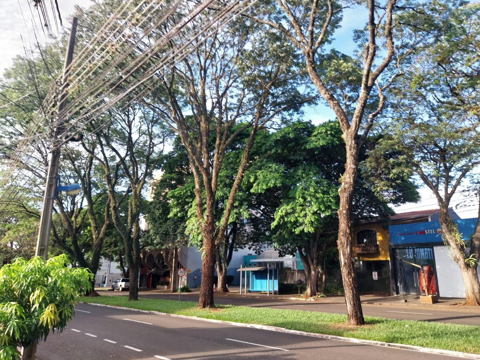 Domingo (30) com possibilidade de chuva em Maringá