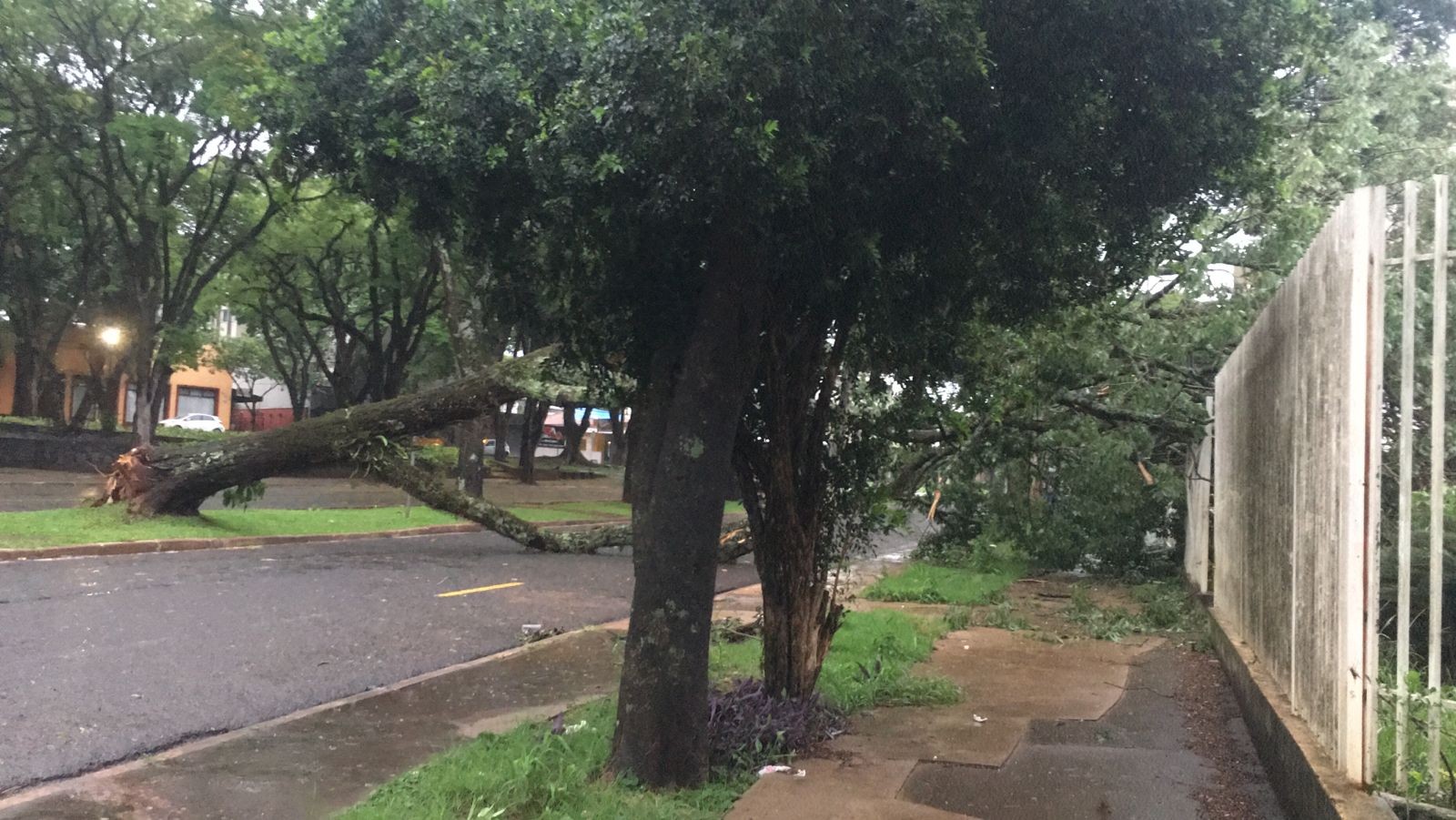 3,2 mil unidades consumidoras continuam sem energia em Maringá