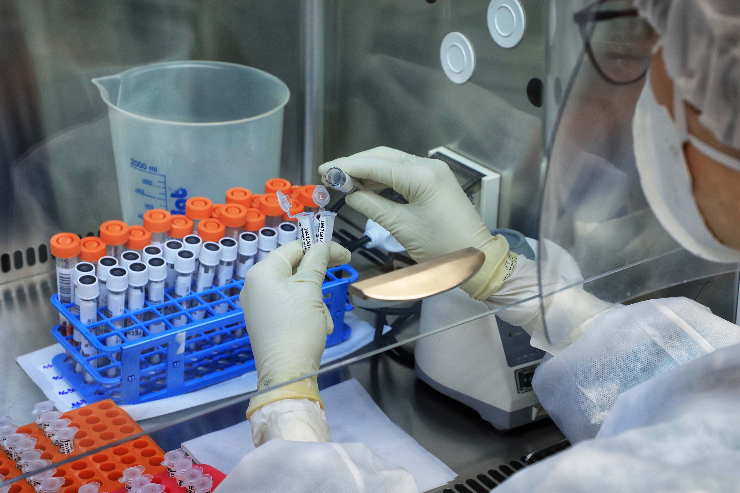 Circulação da variante Ômicron é predominante no Paraná