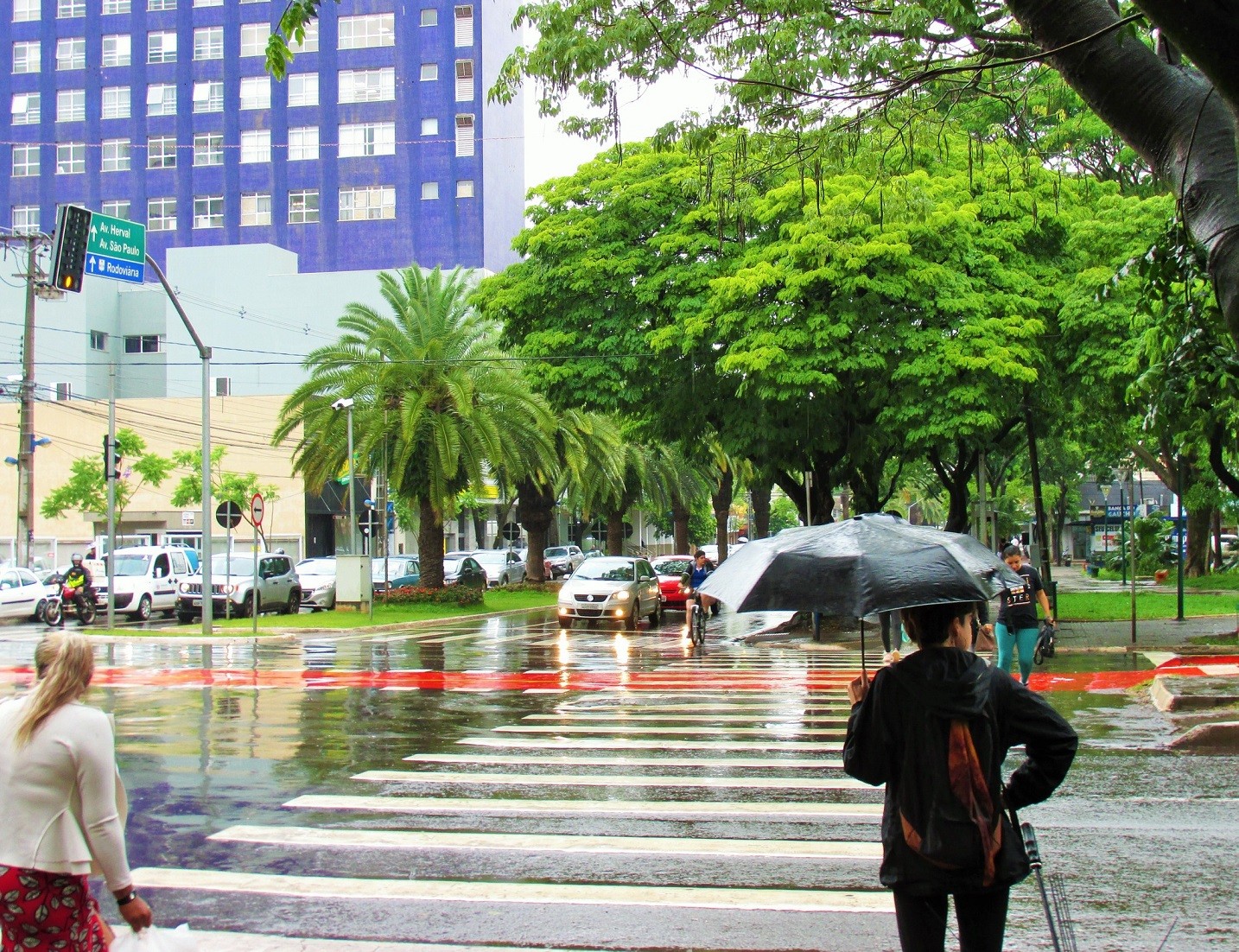 Terça-feira (16) segue com previsão de chuva para Maringá