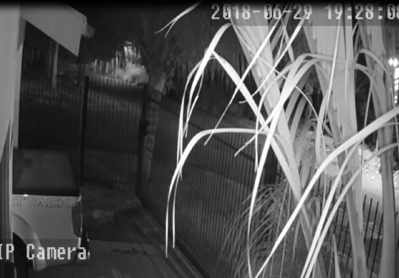 Polícia divulga imagens de furto à residência