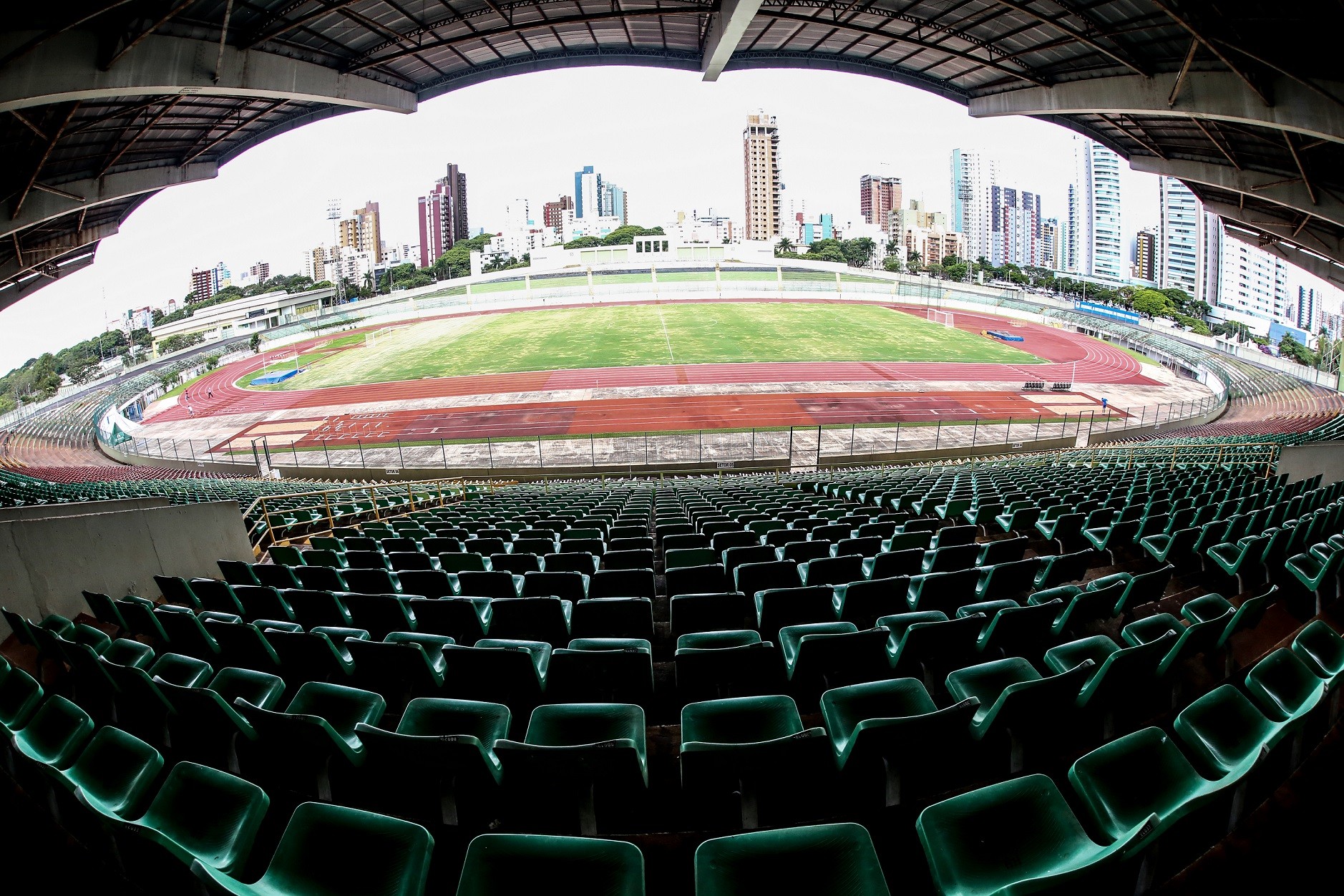 Maringá FC e Galo Maringá se enfrentam na estreia do Paranaense 2024
