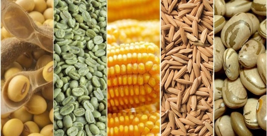 Produção nacional de grãos é estimada em 241,3 milhões de toneladas