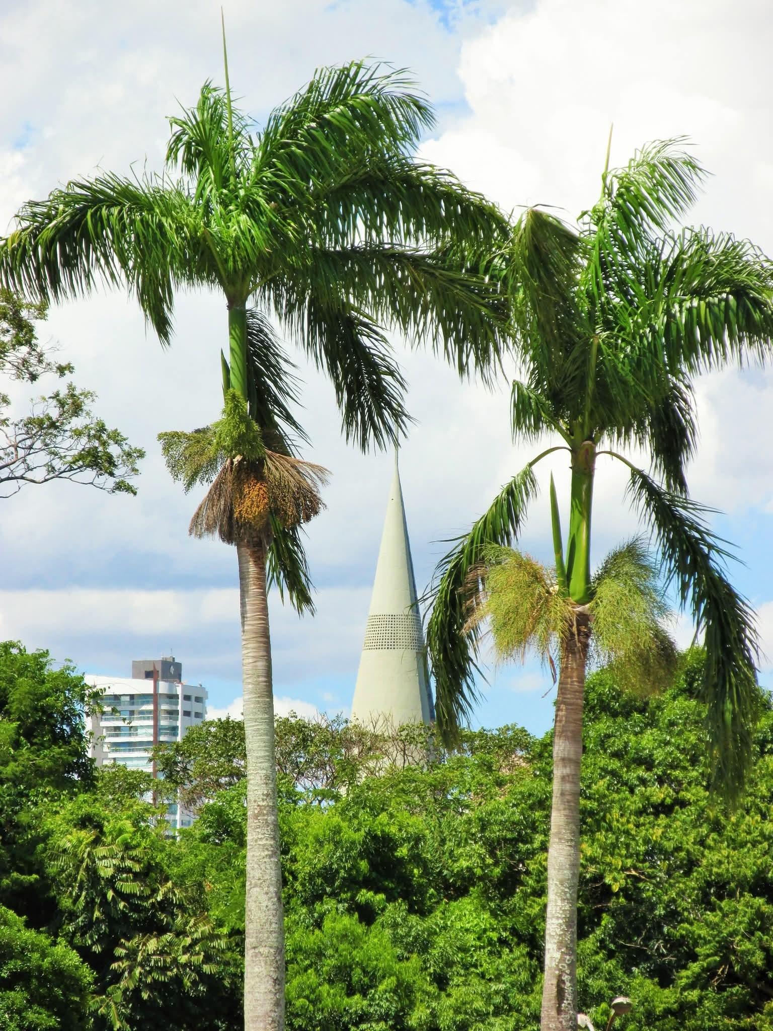 Terça-feira (7) terá chuva e temperaturas amenas em Maringá; confira previsão