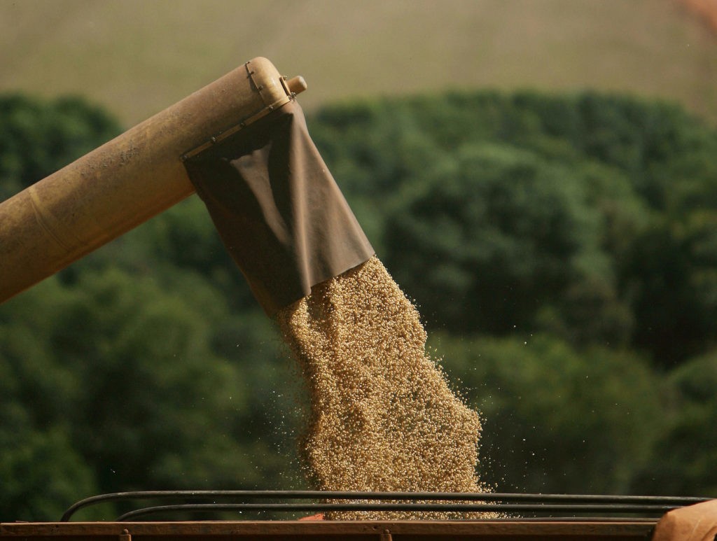 Produtor brasileiro de soja deve segurar as vendas, dizem analistas