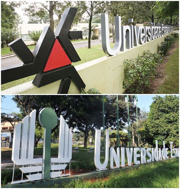 Decisão do STF pode retomar  debate sobre o Meta 4