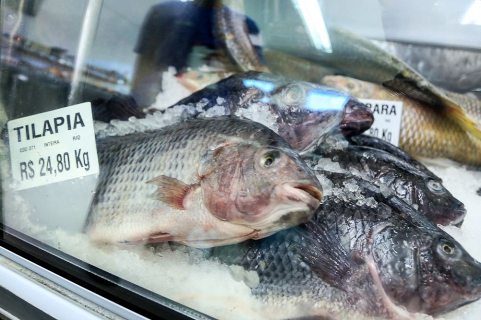 Procon encontra diferença de até 221% no preço dos pescados em Maringá