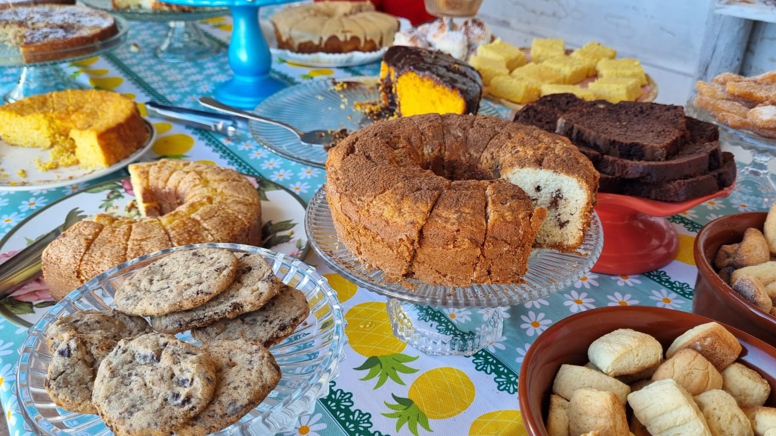 Cafés rurais atraem visitantes que querem sentir o gostinho do campo