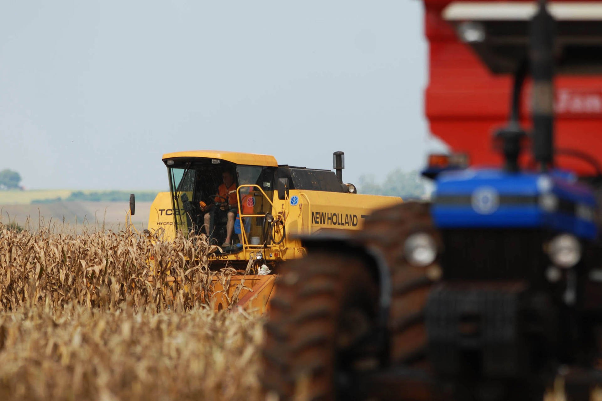 Chuva deve continuar escassa até o fim de janeiro e produtores estão em alerta