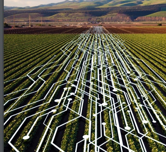 Agricultura 4.0: o agregamento de tecnologias no meio produtivo