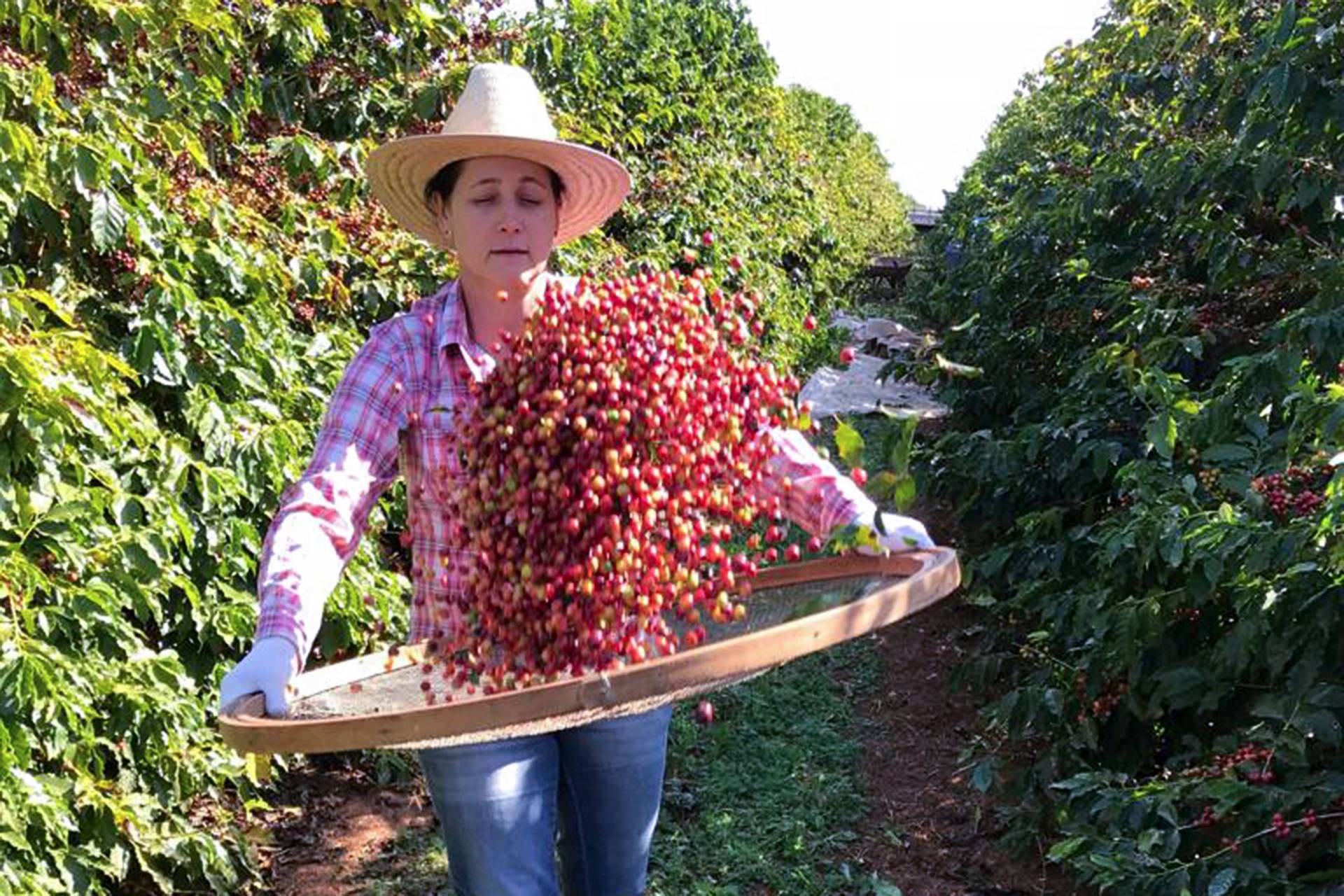 15 de outubro: Dia Internacional da Mulher Rural