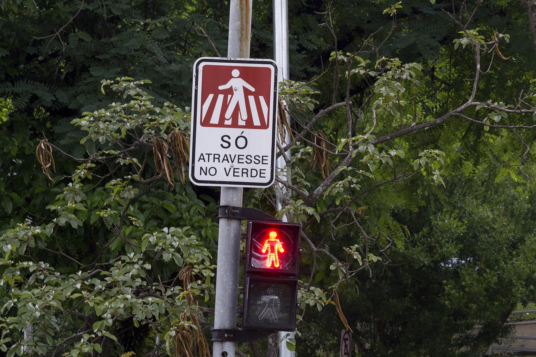 Prefeitura de Maringá quer comprar 296 semáforos para pedestres