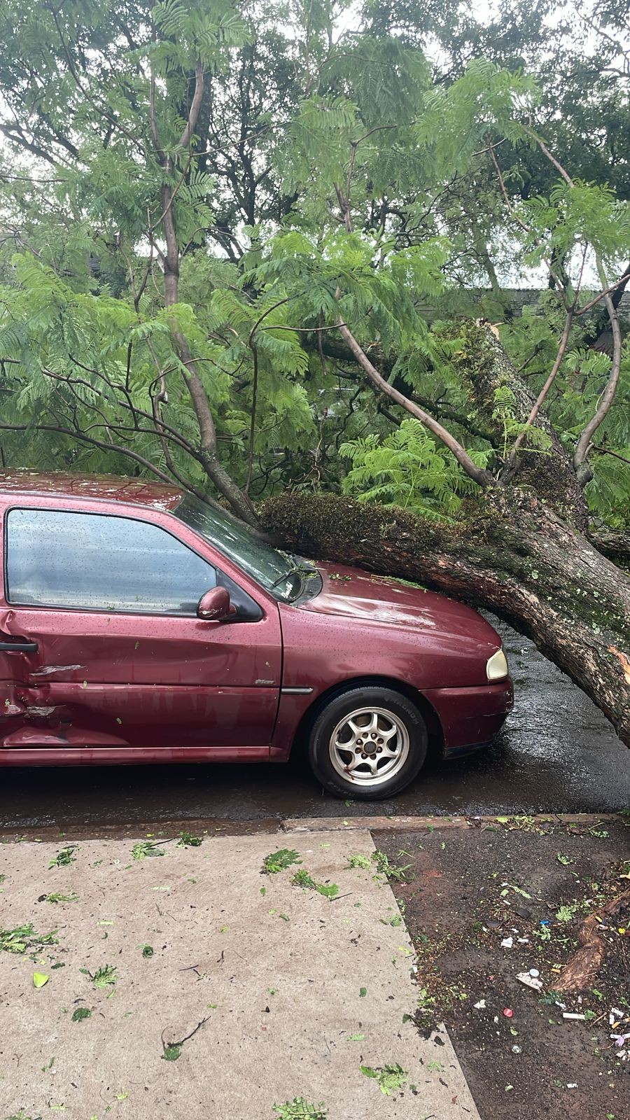 Novo temporal atinge Maringá e deixa mais estragos. Os ventos chegaram a 75,6 km/h, segundo o Simepar