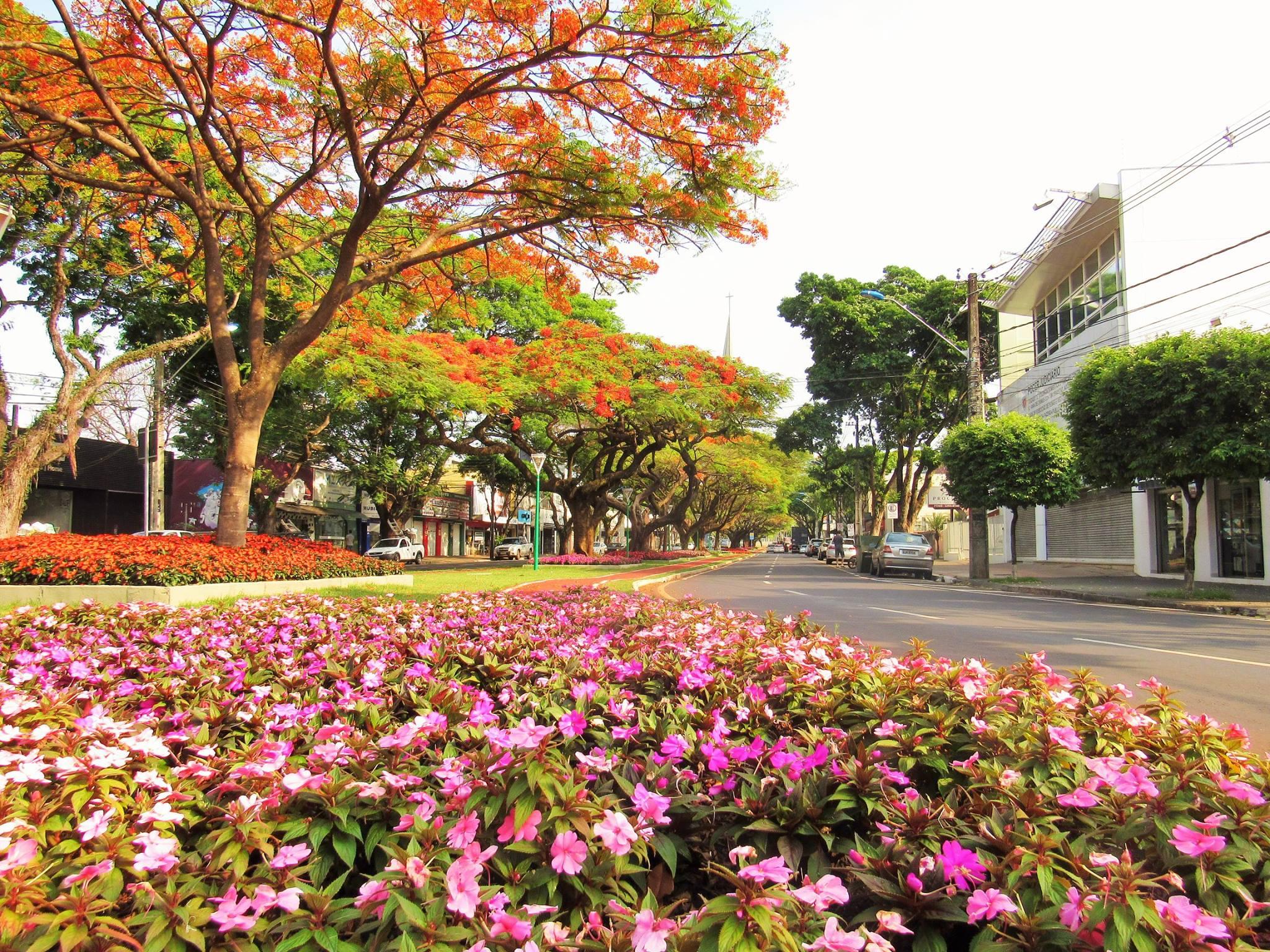 Veja a previsão para Maringá nesta quinta (22)