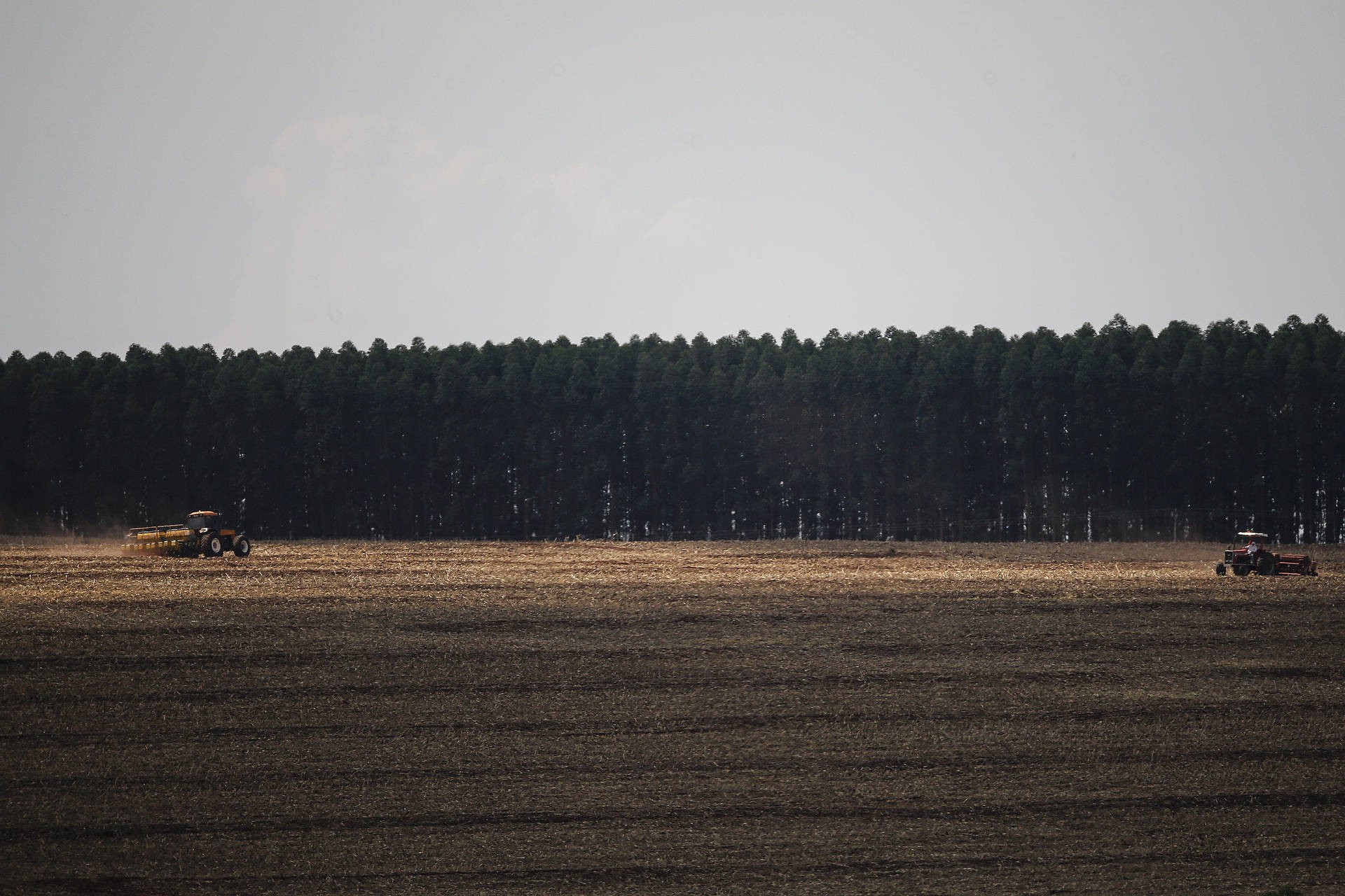 Agricultores iniciam preparo de solo visando a safra 2021/2022