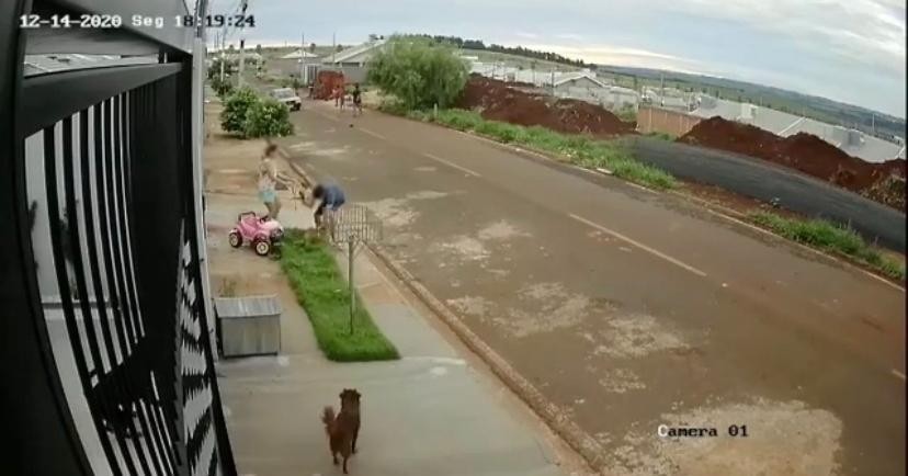 Cachorro que era agredido pelo dono em Sarandi é resgatado