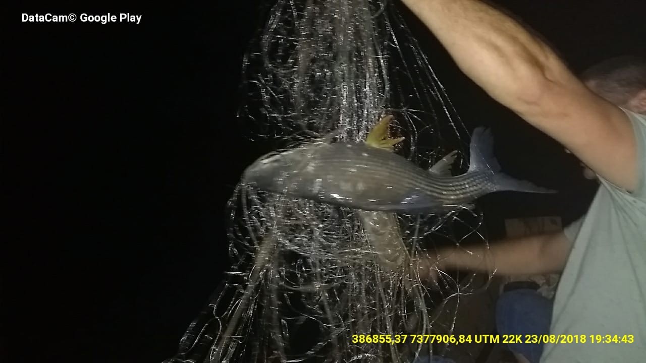 Casal é multado e preso por pesca ilegal no Rio Ivaí