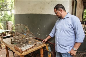 Polícia investiga furto de 214 pássaros do Parque das Aves de Apucarana